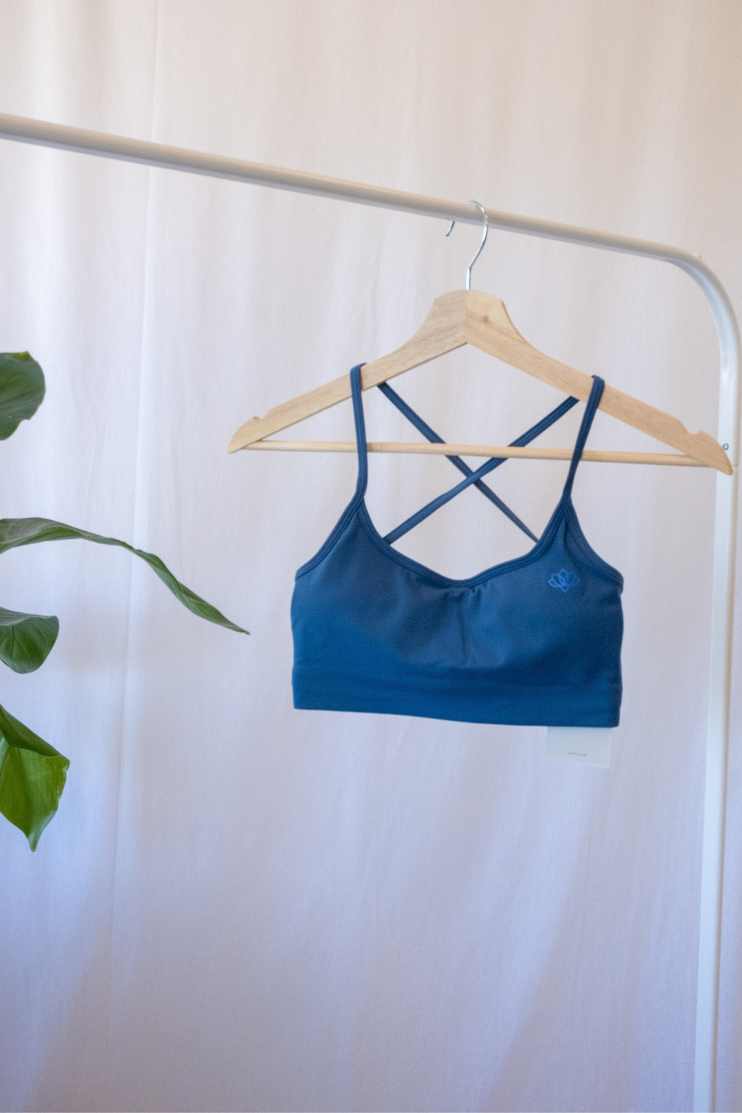 Simplicity Sports Bra (Blue)