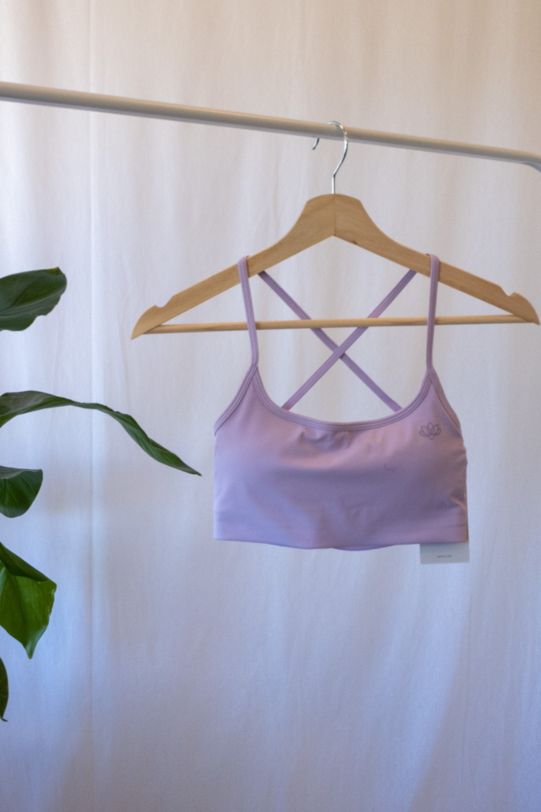 Simplicity Sports Bra (Purple) - Jentle