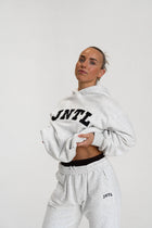 JNTL Oversized Hoodie (Light Grey)